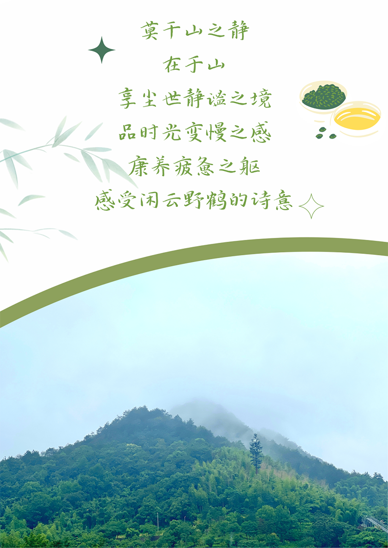 心心念廿 相伴35273 | 与德清相约 贺廿载诞辰