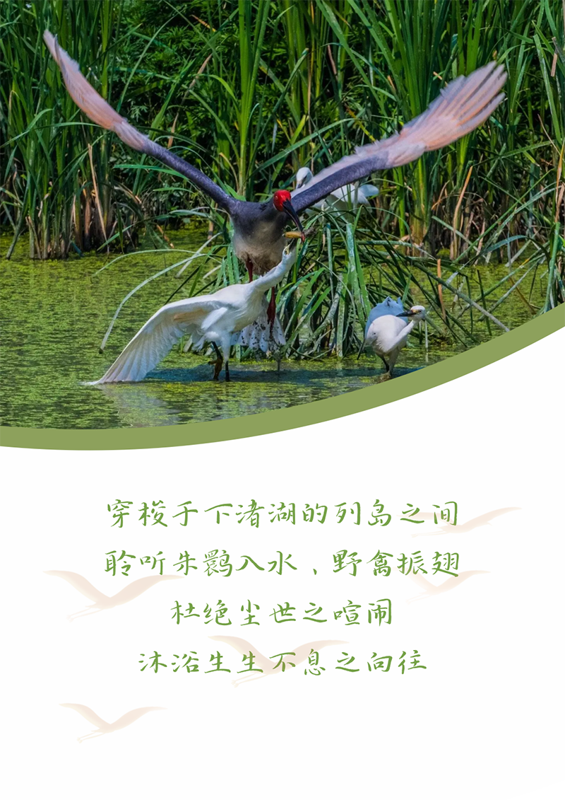 心心念廿 相伴35273 | 与德清相约 贺廿载诞辰